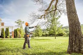 Best Hedge Trimming  in Asheboro, NC