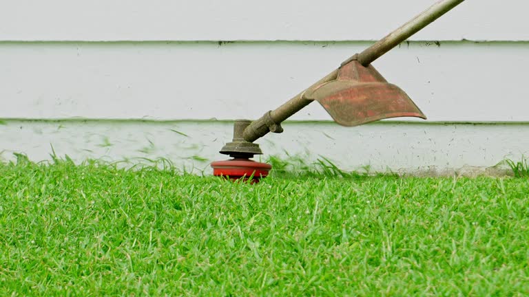 Best Grass Overseeding  in Asheboro, NC